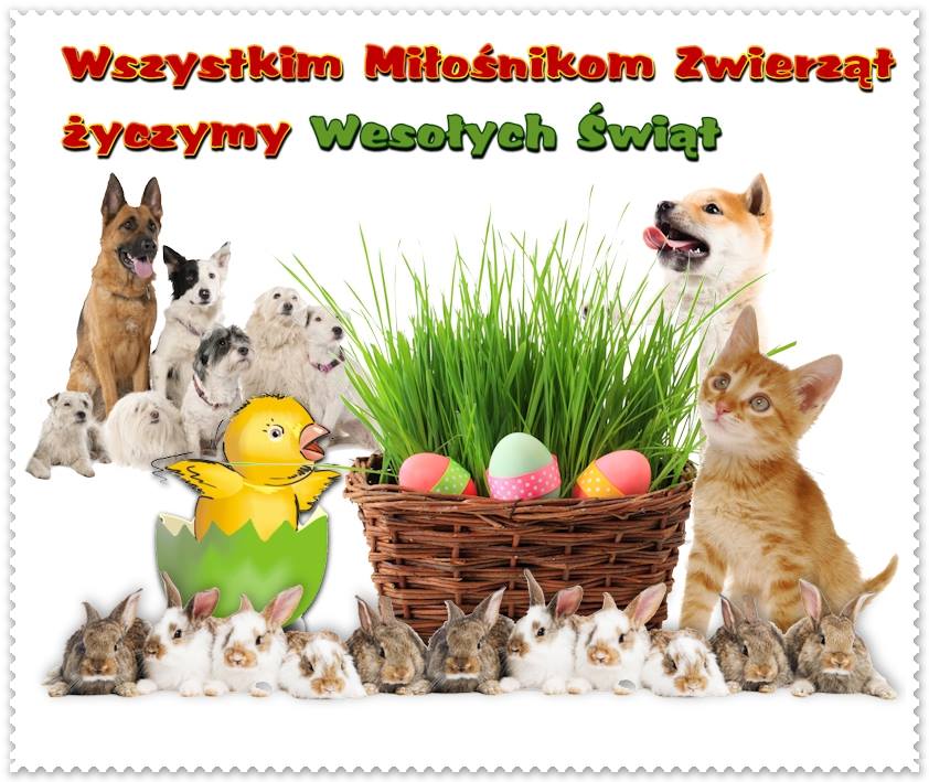 %C5%BCyczenia-wielkanocne.jpg