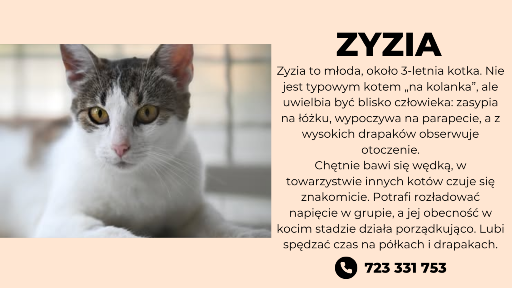 ZYZIA